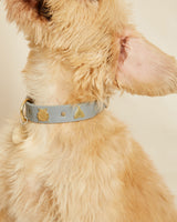 Compra Collar insectos gris | S | M | L | en Apodemia Collar insectos gris | S | M | L |