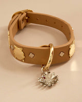 Compra Collar insectos beige | S | M | L | en Apodemia Collar insectos beige | S | M | L |