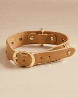 Compra Collar insectos beige | S | M | L | en Apodemia Collar insectos beige | S | M | L |