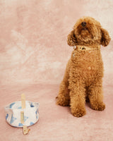 Compra Collar insectos beige | S | M | L | en Apodemia Collar insectos beige | S | M | L |