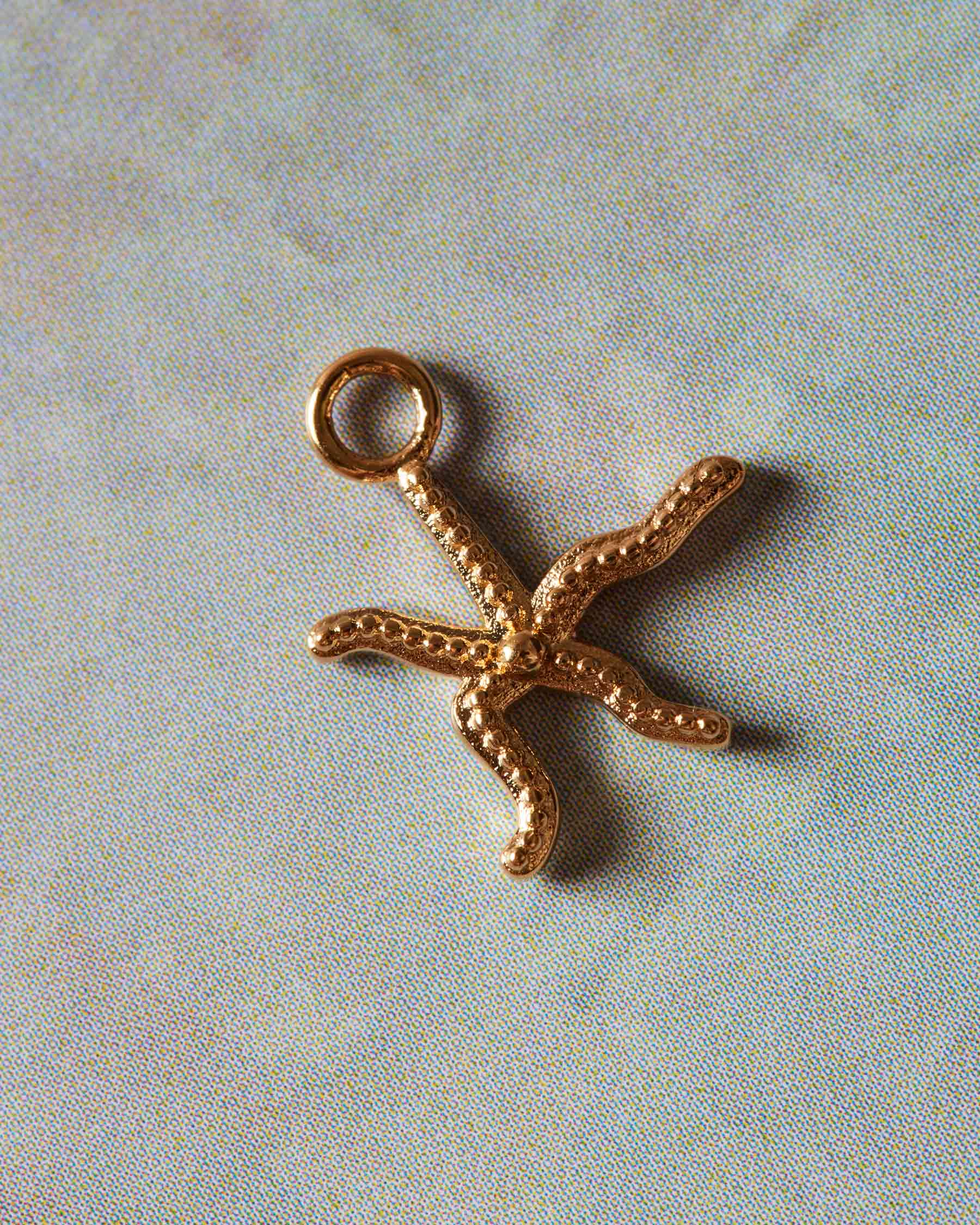 Charm Sea Creatures Metrodira