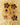 Pendientes Largos Flor Forever de Oro Macizo 18K