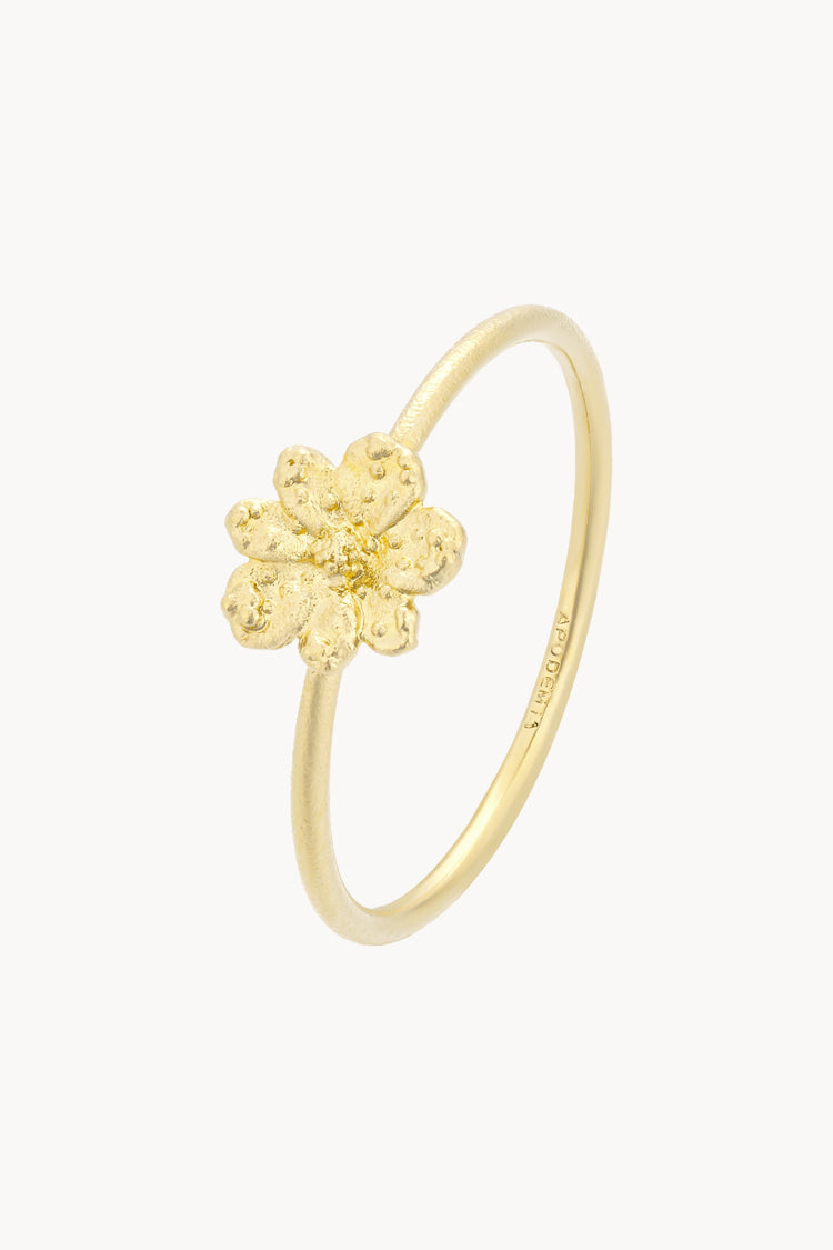 Anillo  Zinnia