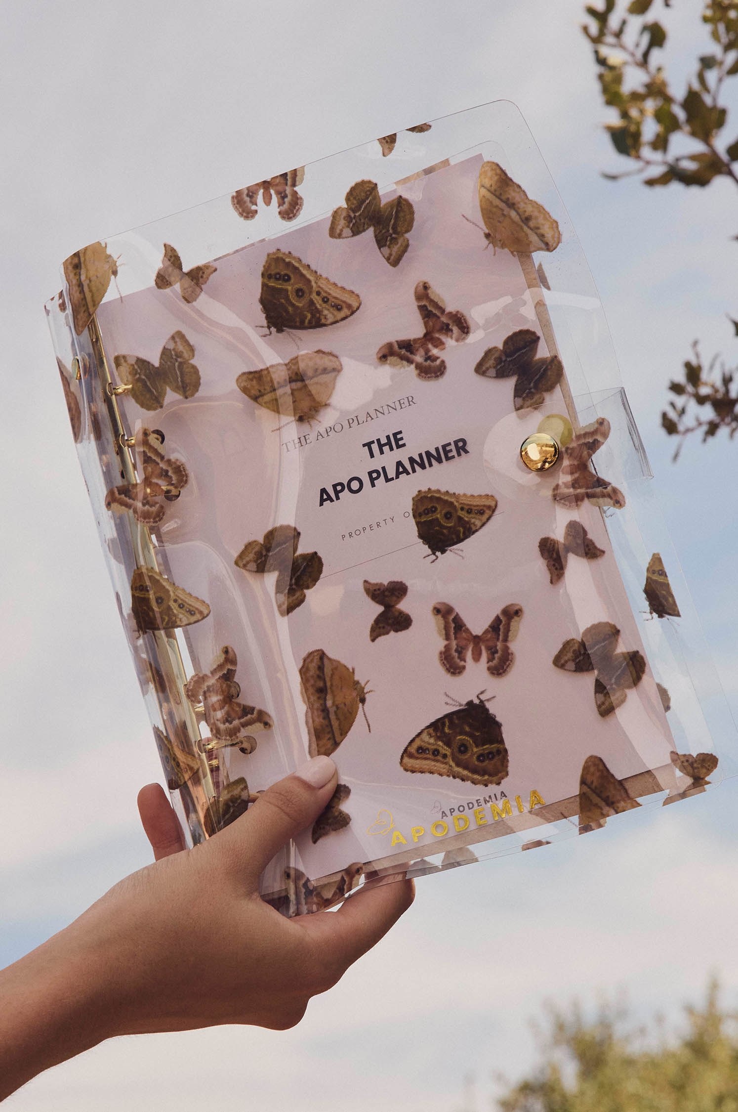 Apo Planner Transparent Butterflies