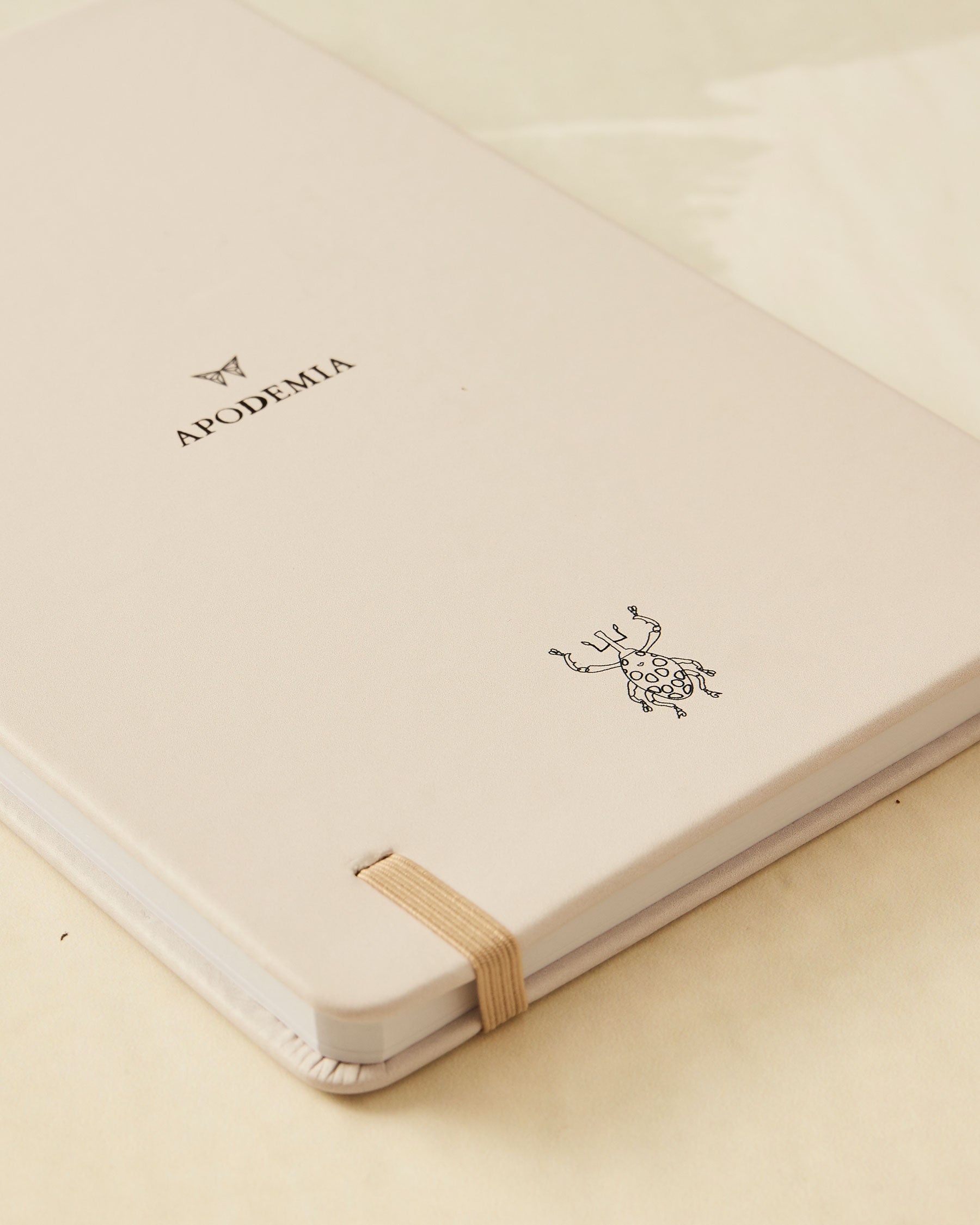 Beetle Dark Blue Notebook | The Gray Box