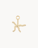 Charm Sea Creatures Metrodira